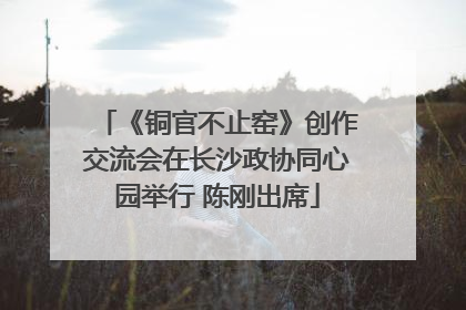 《铜官不止窑》创作交流会在长沙政协同心园举行 陈刚出席