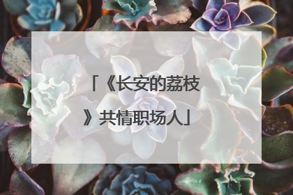 《长安的荔枝》共情职场人
