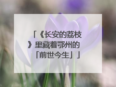 《长安的荔枝》里藏着鄂州的「前世今生」