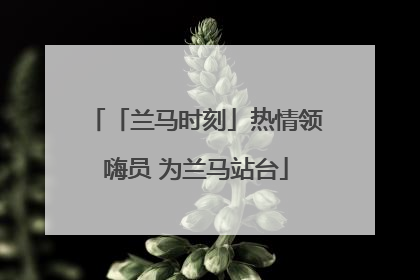「兰马时刻」热情领嗨员 为兰马站台