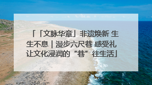 「文脉华章」非遗焕新 生生不息｜漫步六尺巷 感受礼让文化浸润的“巷”往生活