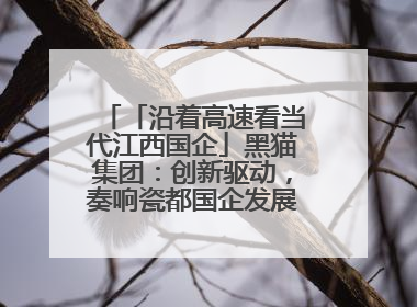 「沿着高速看当代江西国企」黑猫集团：创新驱动，奏响瓷都国企发展新乐章