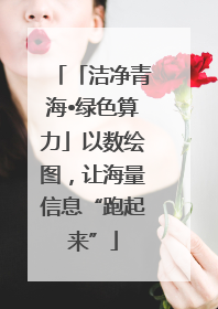 「洁净青海•绿色算力」以数绘图，让海量信息“跑起来”
