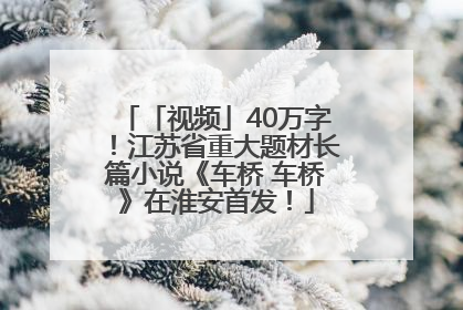 「视频」40万字！江苏省重大题材长篇小说《车桥 车桥》在淮安首发！