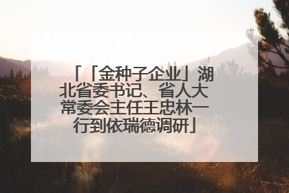 「金种子企业」湖北省委书记、省人大常委会主任王忠林一行到依瑞德调研