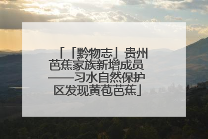 「黔物志」贵州芭蕉家族新增成员——习水自然保护区发现黄苞芭蕉