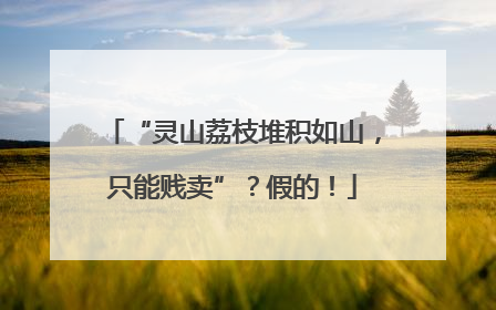 “灵山荔枝堆积如山，只能贱卖”？假的！