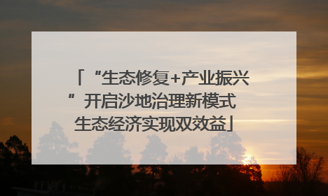 “生态修复+产业振兴”开启沙地治理新模式 生态经济实现双效益