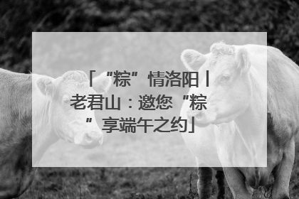 “粽”情洛阳丨老君山：邀您“粽”享端午之约