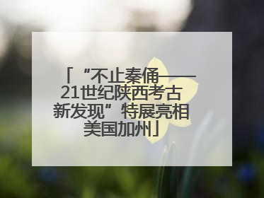 “不止秦俑——21世纪陕西考古新发现”特展亮相美国加州