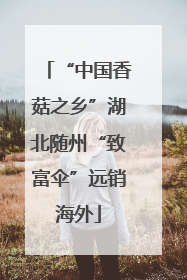 “中国香菇之乡”湖北随州“致富伞”远销海外