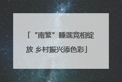 “南繁”睡莲竞相绽放 乡村振兴添色彩