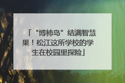 “博柿岛”结满智慧果！松江这所学校的学生在校园里探险