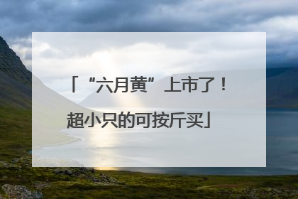 “六月黄”上市了！超小只的可按斤买