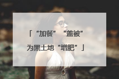 “加餐”“盖被” 为黑土地“增肥”