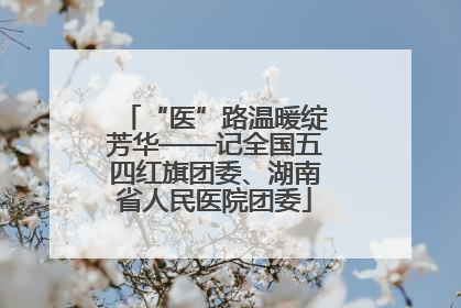 “医”路温暖绽芳华——记全国五四红旗团委、湖南省人民医院团委