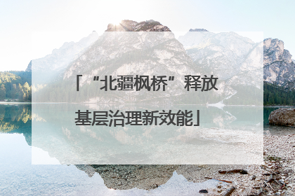 “北疆枫桥”释放基层治理新效能