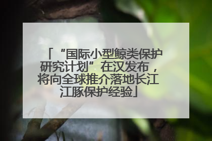 “国际小型鲸类保护研究计划”在汉发布，将向全球推介落地长江江豚保护经验