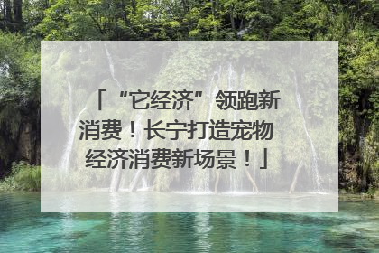 “它经济”领跑新消费！长宁打造宠物经济消费新场景！