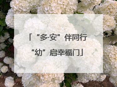“多·安”伴同行 “幼”启幸福门