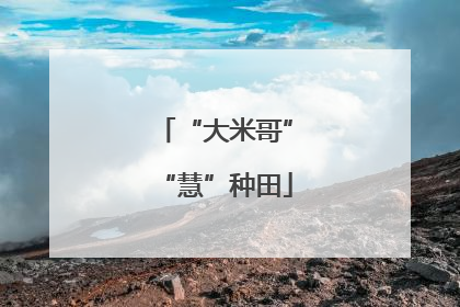 “大米哥”“慧”种田