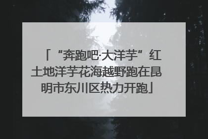“奔跑吧·大洋芋”红土地洋芋花海越野跑在昆明市东川区热力开跑