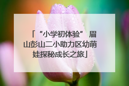 “小学初体验” 眉山彭山二小助力区幼萌娃探秘成长之旅