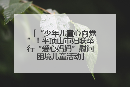 “少年儿童心向党”！平顶山市妇联举行“爱心妈妈”慰问困境儿童活动