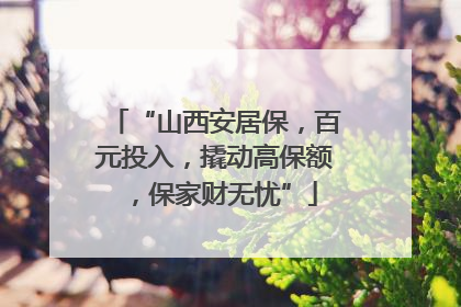 “山西安居保，百元投入，撬动高保额，保家财无忧”