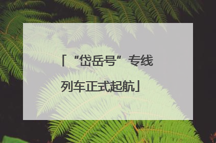 “岱岳号”专线列车正式起航