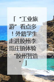 “工业旅游”看点多！外籍学生走进胶州李哥庄镇体验“胶州智造”
