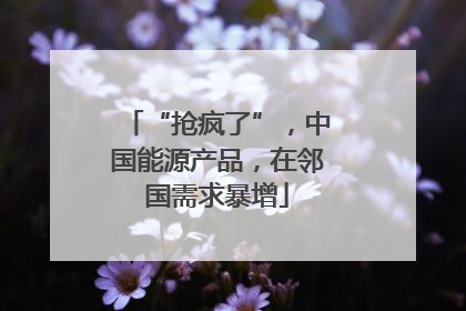 “抢疯了”，中国能源产品，在邻国需求暴增