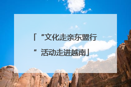 “文化走亲东盟行”活动走进越南