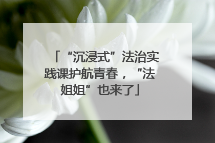 “沉浸式”法治实践课护航青春，“法姐姐”也来了