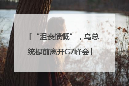 “沮丧愤慨”，乌总统提前离开G7峰会