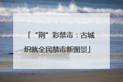 “荆”彩禁毒：古城织就全民禁毒新图景