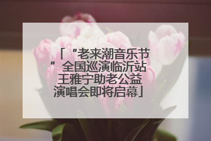 “老来潮音乐节”全国巡演临沂站 王雅宁助老公益演唱会即将启幕