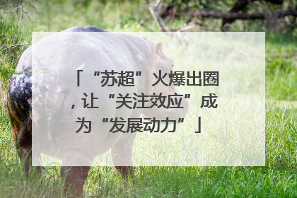 “苏超”火爆出圈，让“关注效应”成为“发展动力”