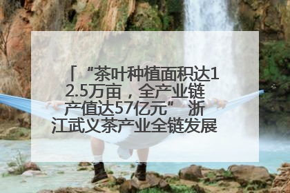 “茶叶种植面积达12.5万亩，全产业链产值达57亿元” 浙江武义茶产业全链发展“加速度”