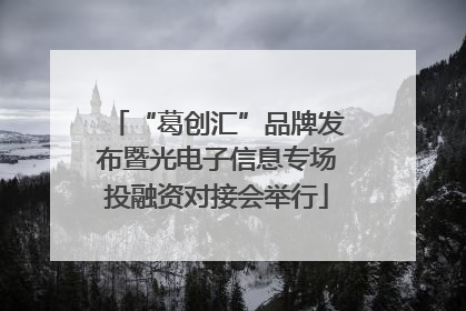 “葛创汇”品牌发布暨光电子信息专场投融资对接会举行