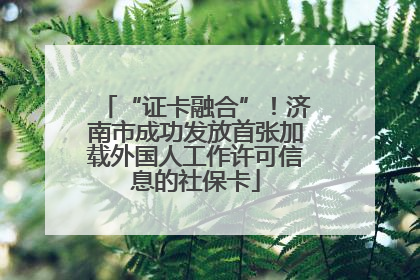 “证卡融合”！济南市成功发放首张加载外国人工作许可信息的社保卡