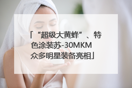 “超级大黄蜂”、特色涂装苏-30MKM 众多明星装备亮相
