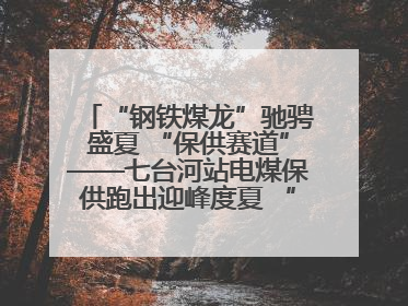 “钢铁煤龙”驰骋盛夏 “保供赛道”——七台河站电煤保供跑出迎峰度夏 “加速度”