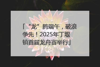 “龙”腾端午，破浪争先！2025年丁堰镇首届龙舟赛举行
