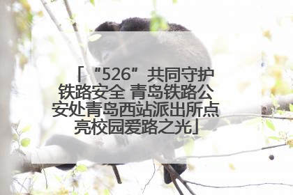 “526”共同守护铁路安全 青岛铁路公安处青岛西站派出所点亮校园爱路之光