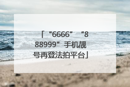 “6666”“888999”手机靓号再登法拍平台