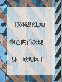 珍稀野生动物苍鹰首次现身三峡坝区