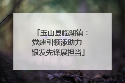 玉山县临湖镇：党建引领添助力 银发先锋展担当