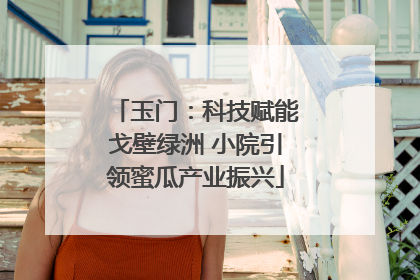 玉门：科技赋能戈壁绿洲 小院引领蜜瓜产业振兴