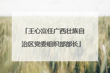 王心富任广西壮族自治区党委组织部部长